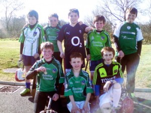 Hurling_League_2011b