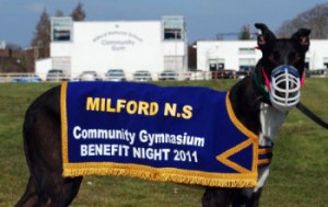 Milford_NS_dog